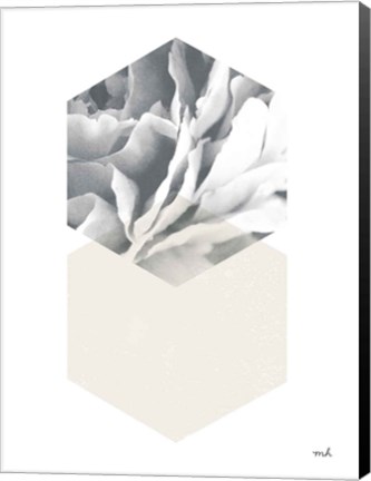 Framed Blossoms IV v2 Print