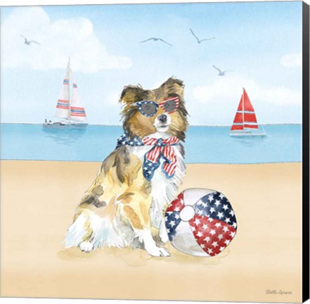 Framed Summer Paws Patriotic V Print