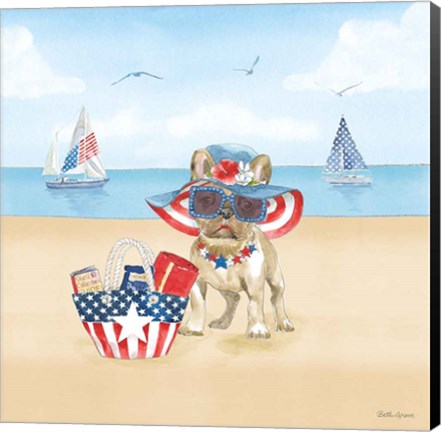 Framed Summer Paws Patriotic IV Print