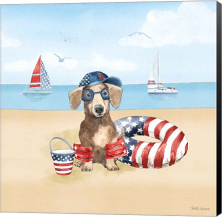 Framed Summer Paws Patriotic III Print