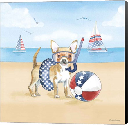 Framed Summer Paws Patriotic II Print