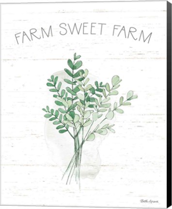 Framed Farmhouse Cotton V Sage Print