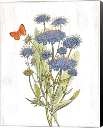 Framed White Barn Flowers IX Print
