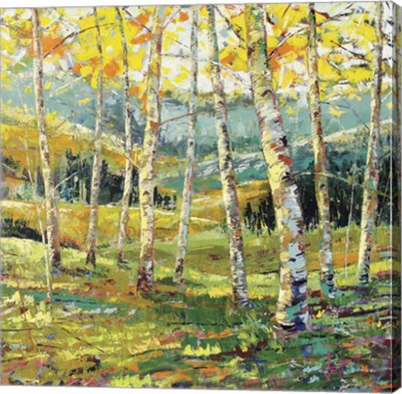 Framed Point Of View Print