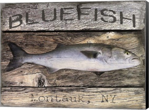 Framed Bluefish Print