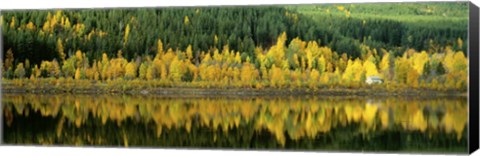 Framed Osterdalen Glomma River, Koppang, Norway Print