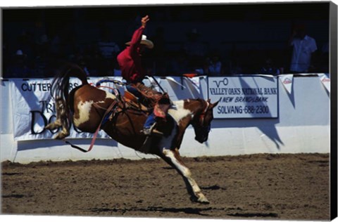 Framed Saddle Bronc Rider Print