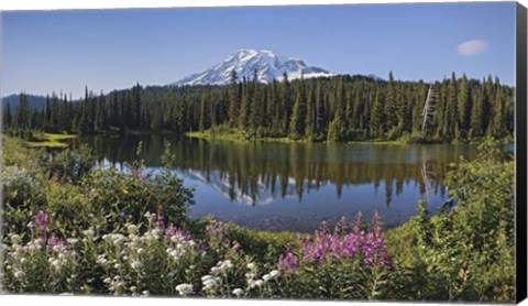 Framed Reflection Of A Mountain And Trees In Water, Mt Rainier National Park, Washington State Print