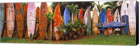 Framed Arranged Surfboards, Maui, Hawaii Print