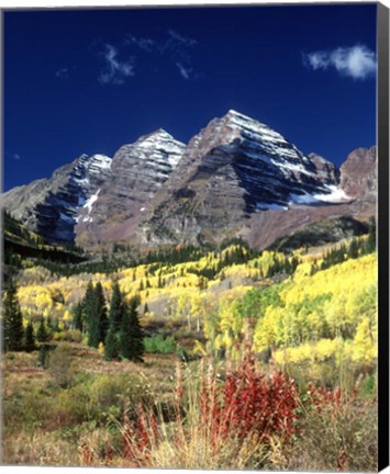 Framed Maroon Bells Peaks White River National Forest Colorado Print