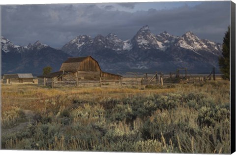 Framed Barn In Grand Teton National Park, Wyoming Print