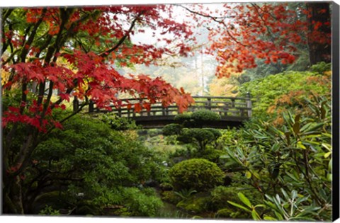 Framed Autumn Leaves On Trees And Footbridge, Japanese Garden Print