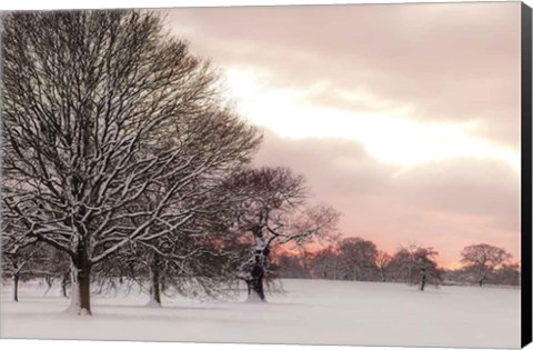 Framed Rosy Sunset Print