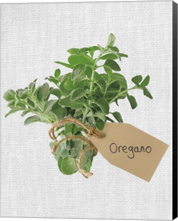 Framed Oregano Print