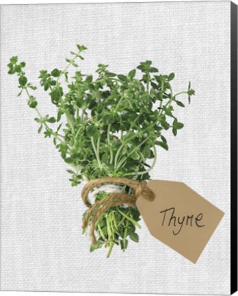 Framed Thyme Print