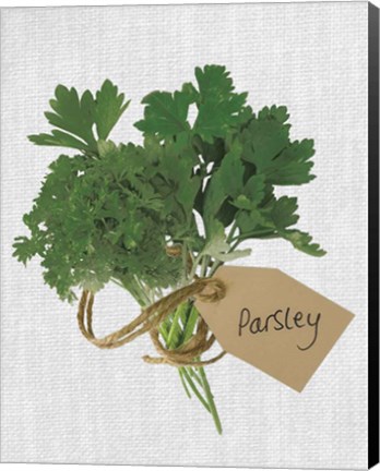 Framed Parsley Print