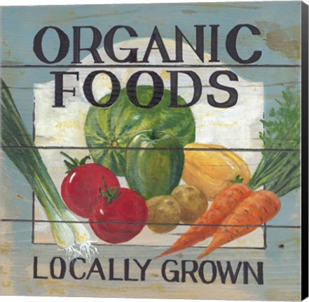 Framed Organic Foods Print