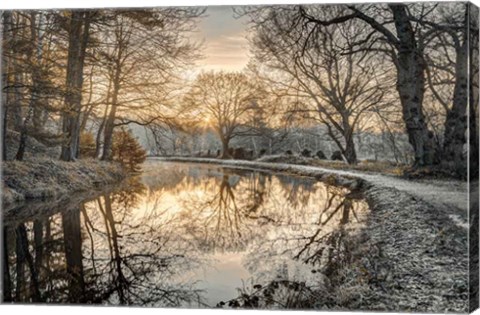 Framed Frosty Morning Print