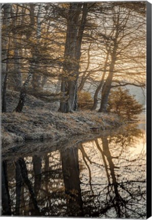 Framed Frosty Morning I Print