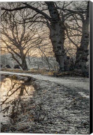 Framed Frosty Morning III Print