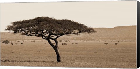 Framed Serengeti Horizons I Print