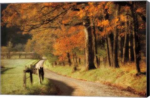 Framed Autumn&#39;s Morning Light Print