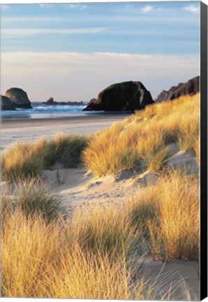 Framed Dune Grass And Beach II Print