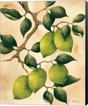 Framed Italian Harvest - Limes Print