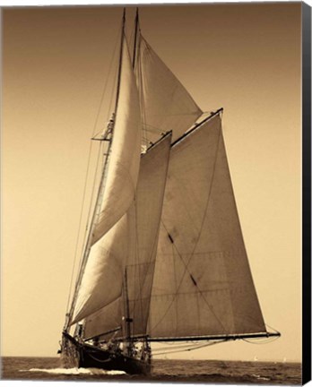 Framed Under Sail I Print