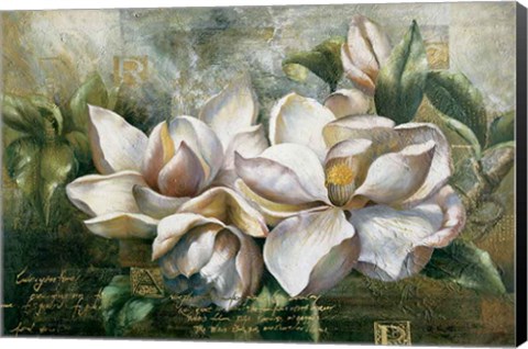 Framed Dawning Magnolias Print