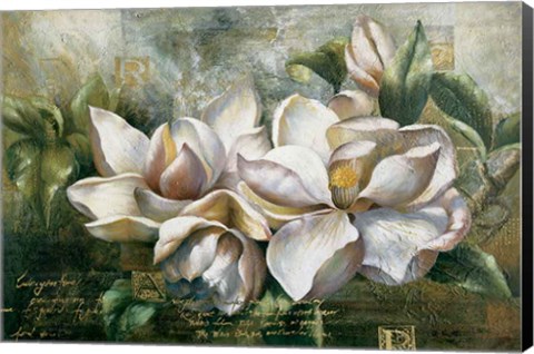 Framed Dawning Magnolias Print