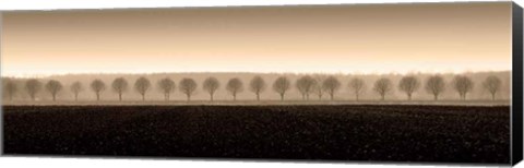 Framed Dappled Morning Fields Print