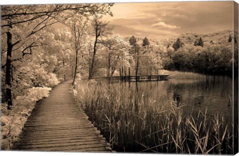 Framed Take My Lead II Print