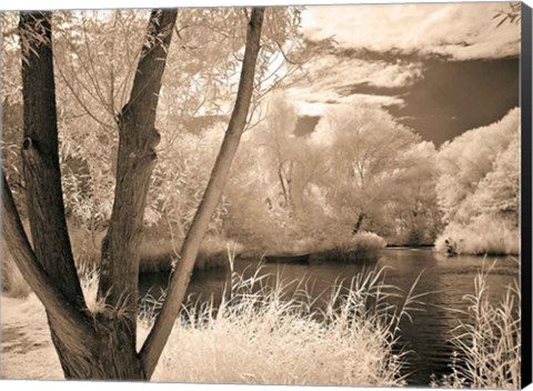 Framed Lakefront View I Print