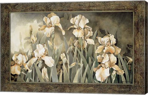 Framed Field of Irises Print