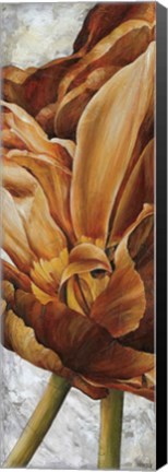 Framed Floral I Print