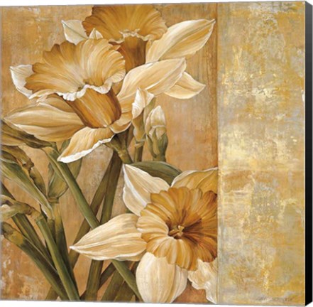Framed Champagne Daffodils I Print