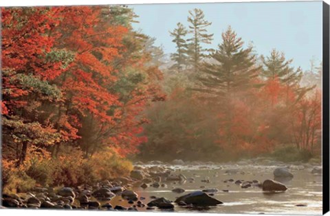 Framed Foggy River Print