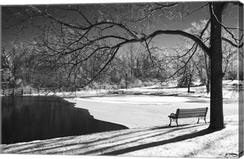 Framed Heritage Pond In Winter Print