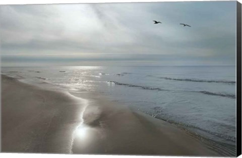 Framed Beach Flight Print