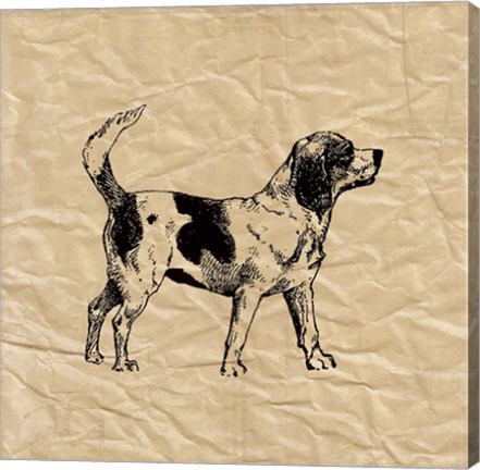 Framed Beagle Print