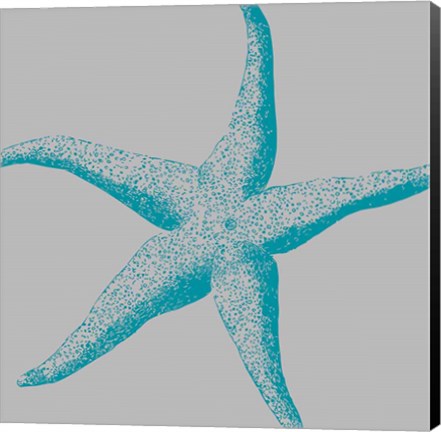 Framed Sea Stars II Print