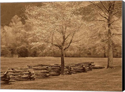 Framed Smokies Fence Print