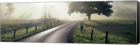 Framed Mountain Morning Glory Print