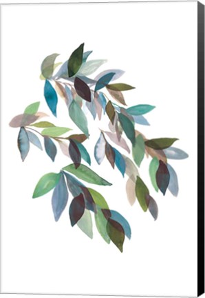 Framed Leaf Collection II Print