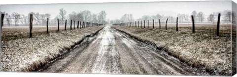 Framed Picket Path Print