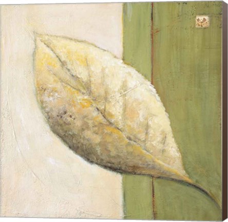 Framed Leaf Impression - Olive Print