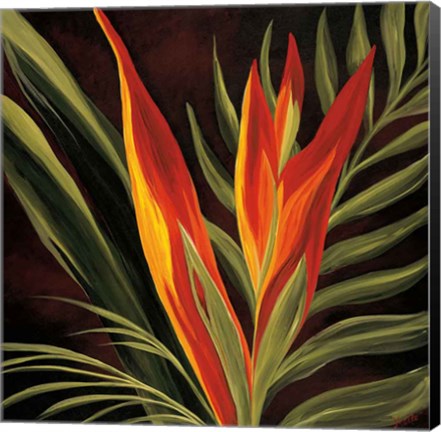 Framed Birds of Paradise II Print