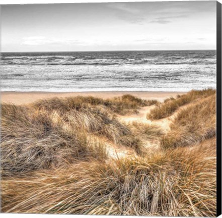 Framed Beach Dunes Print