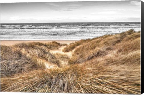 Framed Beach Dunes Print